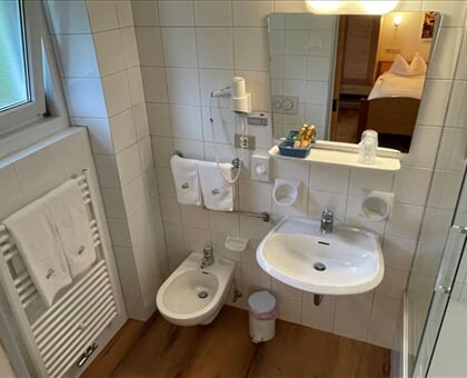 Meisules Hotel, Selva Gardena (9)