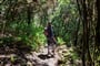 Foto - To nejlepší z ostrova La Gomera + TURISTIKA + SPECIALITY KANÁRSKÉ GASTRONOMIE