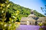 Foto - To nejkrásnější z Provence + CANNES