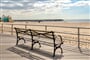 Foto - To nejlepší z New Yorku + PLAVBA K SOŠE SVOBODY + KOUPÁNÍ NA CONEY ISLANDU