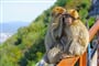 Foto - To nejlepší z Andalusie + GIBRALTAR + KOUPÁNÍ NA POBŘEŽÍ COSTA DEL SOL