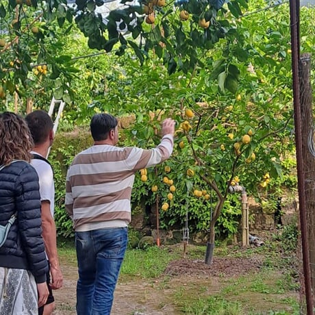 Lemon Tour Sorrento – Nonna Concettina Tour (2,5 hodiny)