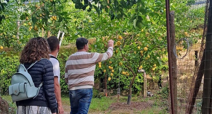 sorrento lemon tour nonna concettina 13