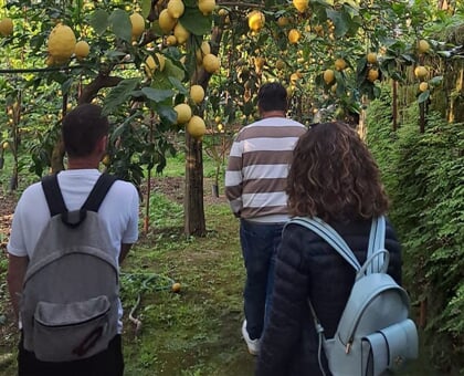 sorrento lemon tour nonna concettina 24