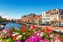 Foto - Holandské pobřeží na kole + AMSTERDAM + RODINNÁ KVĚTINOVÁ FARMA