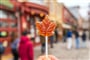 Foto - To nejlepší z New Yorku a Toronta + NIAGARSKÉ VODOPÁDY + JAVOROVÁ FARMA