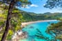 Novy Zeland - Abel Tasman_shutterstock_2083798531
