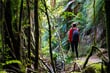 Novy Zeland_hiker_shutterstock_2408195997