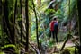 Novy Zeland_hiker_shutterstock_2408195997