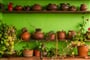 Foto - To nejlepší z ostrova La Gomera + TURISTIKA + SPECIALITY KANÁRSKÉ GASTRONOMIE