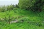Foto - To nejlepší z ostrova Sao Miguel + TURISTIKA + OCHUTNÁVKA AZORSKÉHO ČAJE