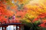 Foto - Okruh středním Japonskem