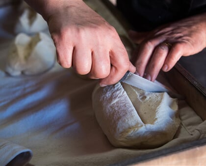 Pane40 scaled