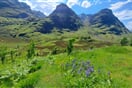 glencoe 3