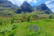 glencoe 3