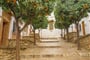 Foto - To nejlepší z Andalusie + GIBRALTAR + KOUPÁNÍ NA POBŘEŽÍ COSTA DEL SOL