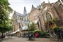Foto - Holandské pobřeží na kole + AMSTERDAM + RODINNÁ KVĚTINOVÁ FARMA