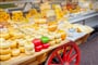 Foto - Holandské pobřeží na kole + AMSTERDAM + RODINNÁ KVĚTINOVÁ FARMA