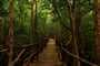 Foto - Relax na plážích Zanzibaru + SPICE TOUR + NÁRODNÍ PARK JOZANI
