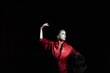 flamenco vystoupení
