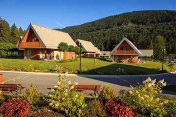 Terme Topolšica - Apartmány Topolšica + vstup do termálů