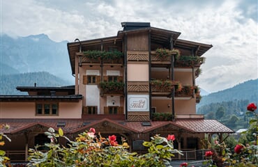 Hotel Job*** - Dimaro