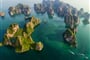 Halong Bay (17)