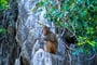 Halong Bay (9)