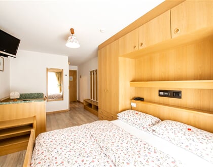 Hotel Alpe   Alba di Canazei 4