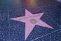 Los Angeles (16)