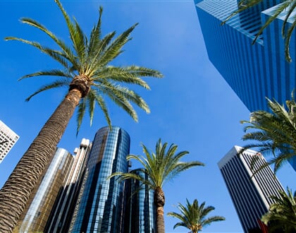 Los Angeles (5)