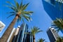 Los Angeles (5)