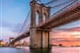 New York (8)