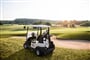 Botaniq Marientvalley Resort Golf Buggy