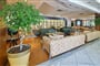 Hotel Mediteran: fotografie vybavení exteriérů a interiérů ubytování.