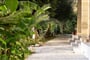 Hotel Petani Beach Suites: fotografie vybavení exteriérů a interiérů ubytování.