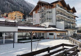Hotel Active Alm **** - Moena