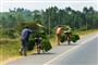 Foto - To nejlepší z Ugandy + HORSKÉ GORILY A ŠIMPANZI + SAFARI V NÁRODNÍCH PARCÍCH