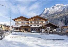 Park Hotel Avisio **** - Soraga di Fassa