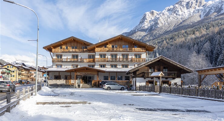 Hotel Avisio, Soraga di Fassa (3)