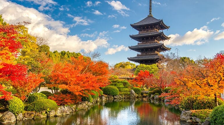 Foto - To nejlepší z Japonska + BAREVNÝ PODZIM + TRADIČNÍ LÁZNĚ