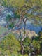 art institute of chicago  LdzOeq7 IU unsplash