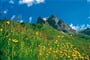 Foto - Lechtal - Lechtalské Alpy - ráj alpské turistiky