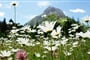 Foto - Lechtal - Lechtalské Alpy - ráj alpské turistiky