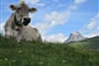 Foto - Lechtal - Lechtalské Alpy - ráj alpské turistiky
