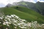 Foto - Lechtal - Lechtalské Alpy - ráj alpské turistiky