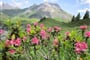 Foto - Lechtal - Lechtalské Alpy - ráj alpské turistiky