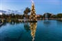Foto - Adventní Málaga + VÁNOČNÍ SVĚTELNÁ BOTANICKÁ ZAHRADA