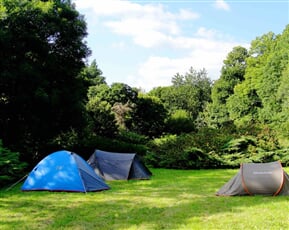 camping - Copy.jpg