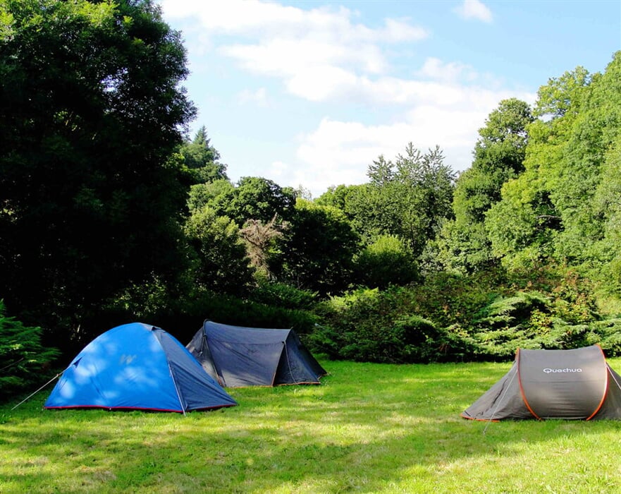 camping   Copy